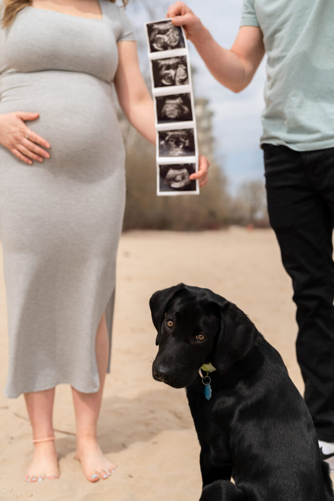 Expecting parents holding an ultrasound photo together during a Port Washington Wisconsin maternity photography session with their dog