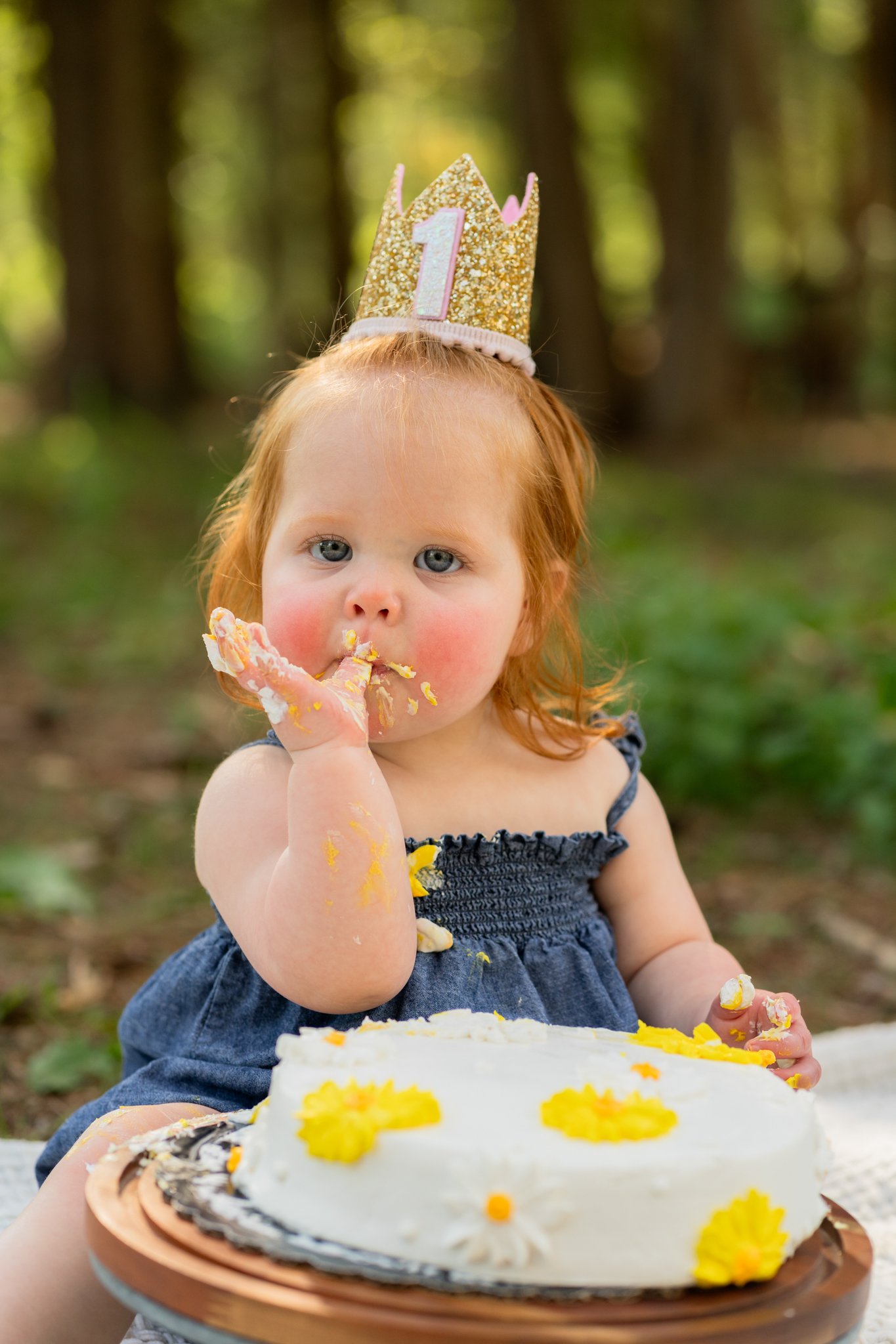 Baby’s first birthday milestone photos in Menomonee Falls area