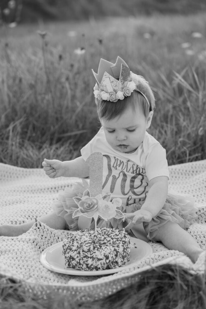 Toddler hands covered in cake during West Bend milestone photography