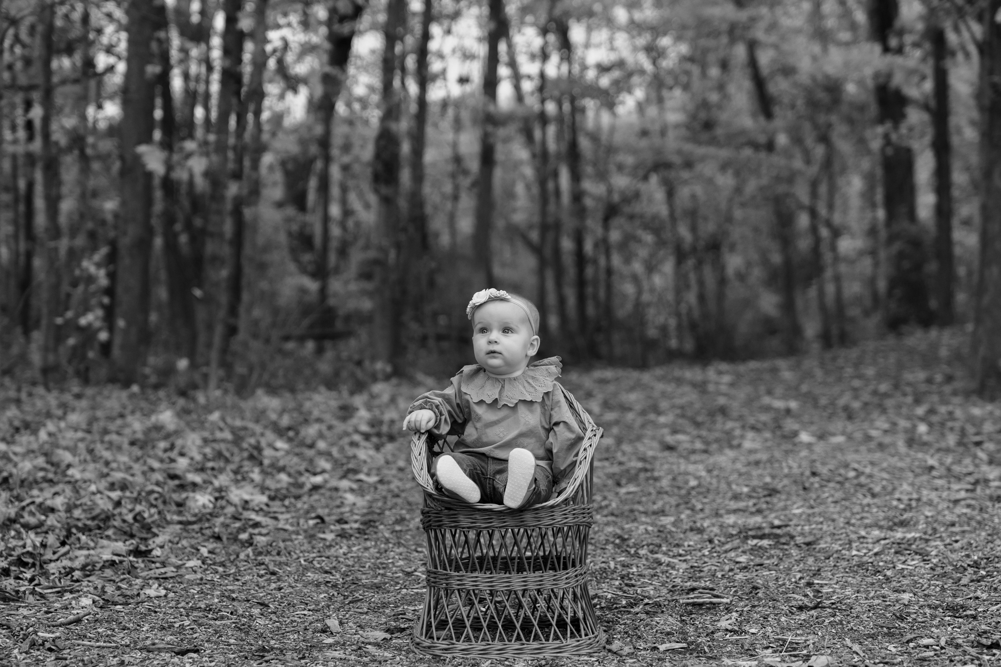 Outdoor fall portrait of little girl sitting in wicker chair at Menomonee Park Wisconsin