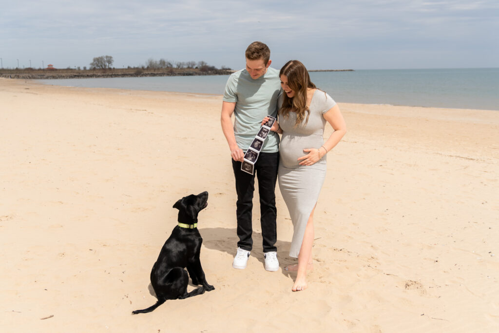 Maternity photography on the beach in Port Washington wisconsin with dog