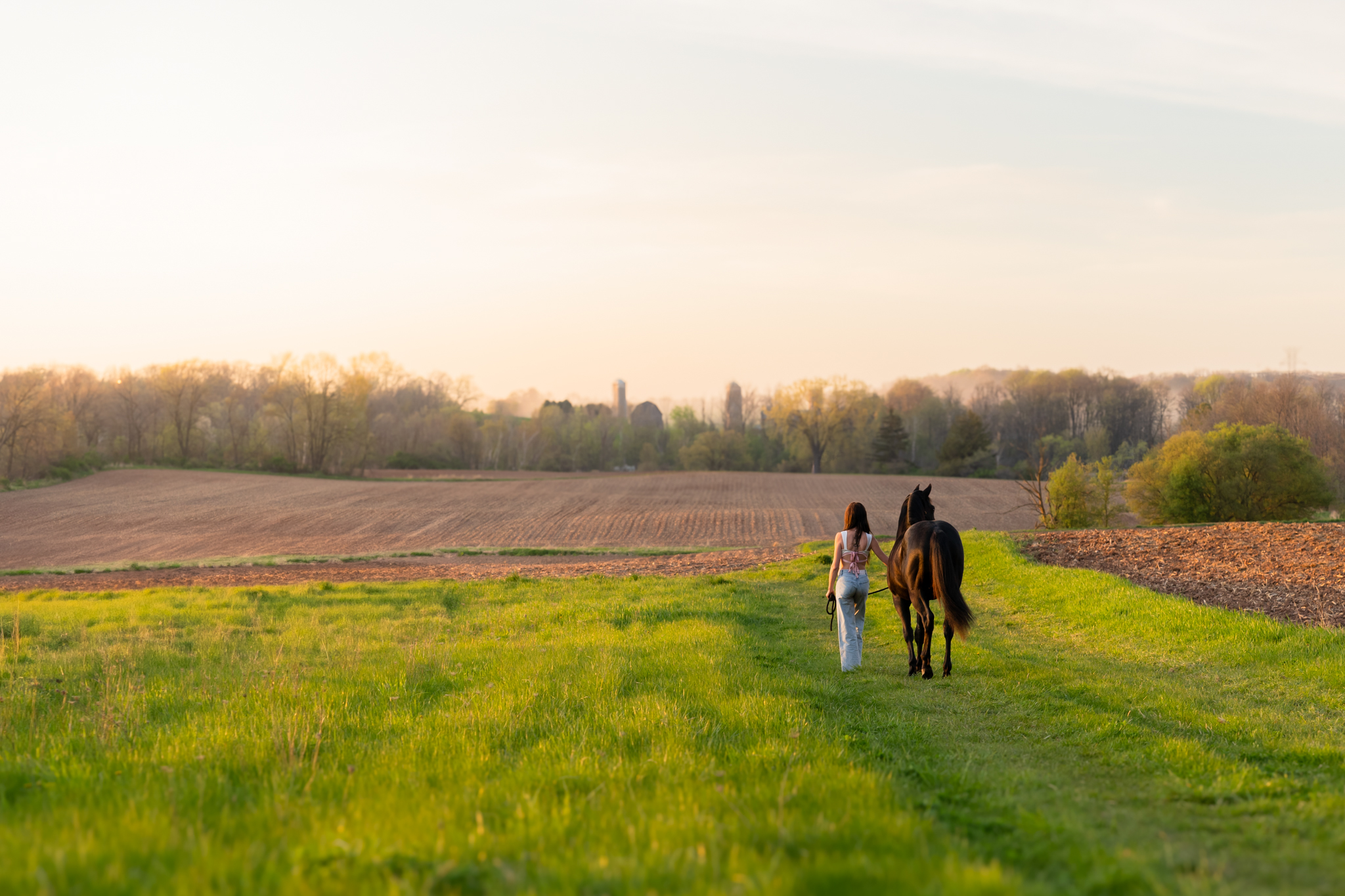 A girl and her horse walking in a field during golden hour in Wisconsin