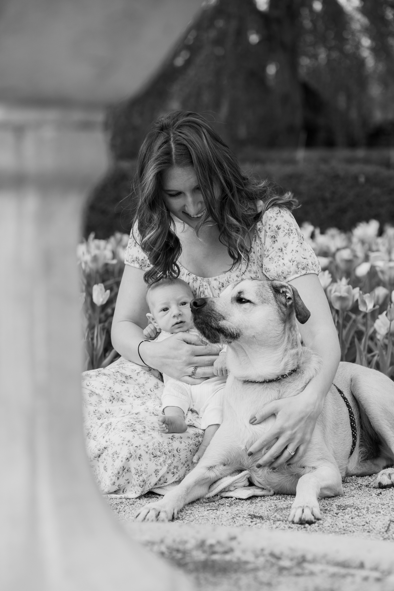 Mother and her newborn baby sitting on the ground and petting their family dog during newborn photography session outdoors