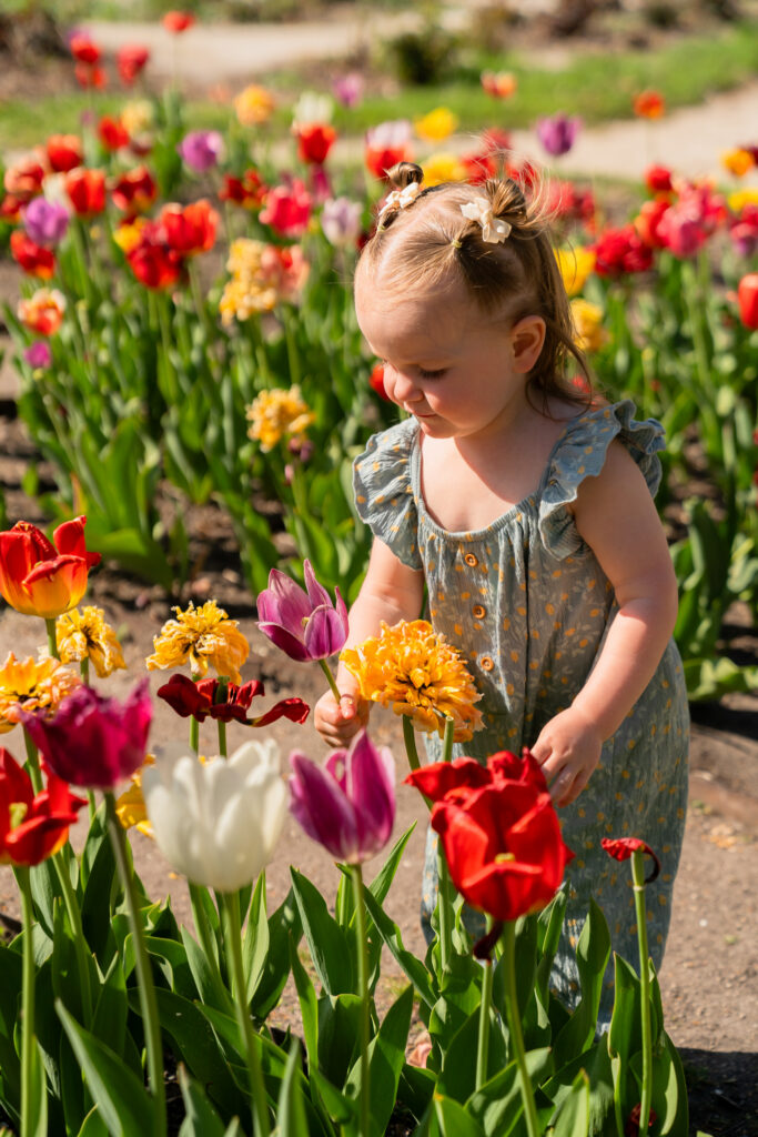 toddler girl smelling and holding flower during spring photography session