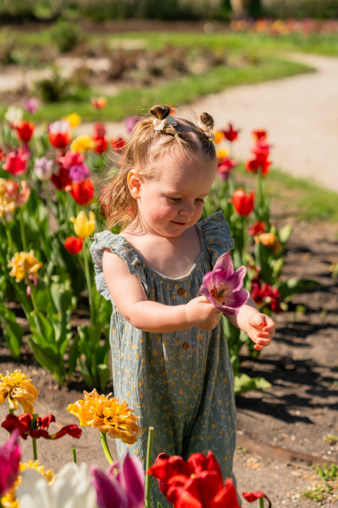 little girl holding a flower during spring family photos in Wisconsin