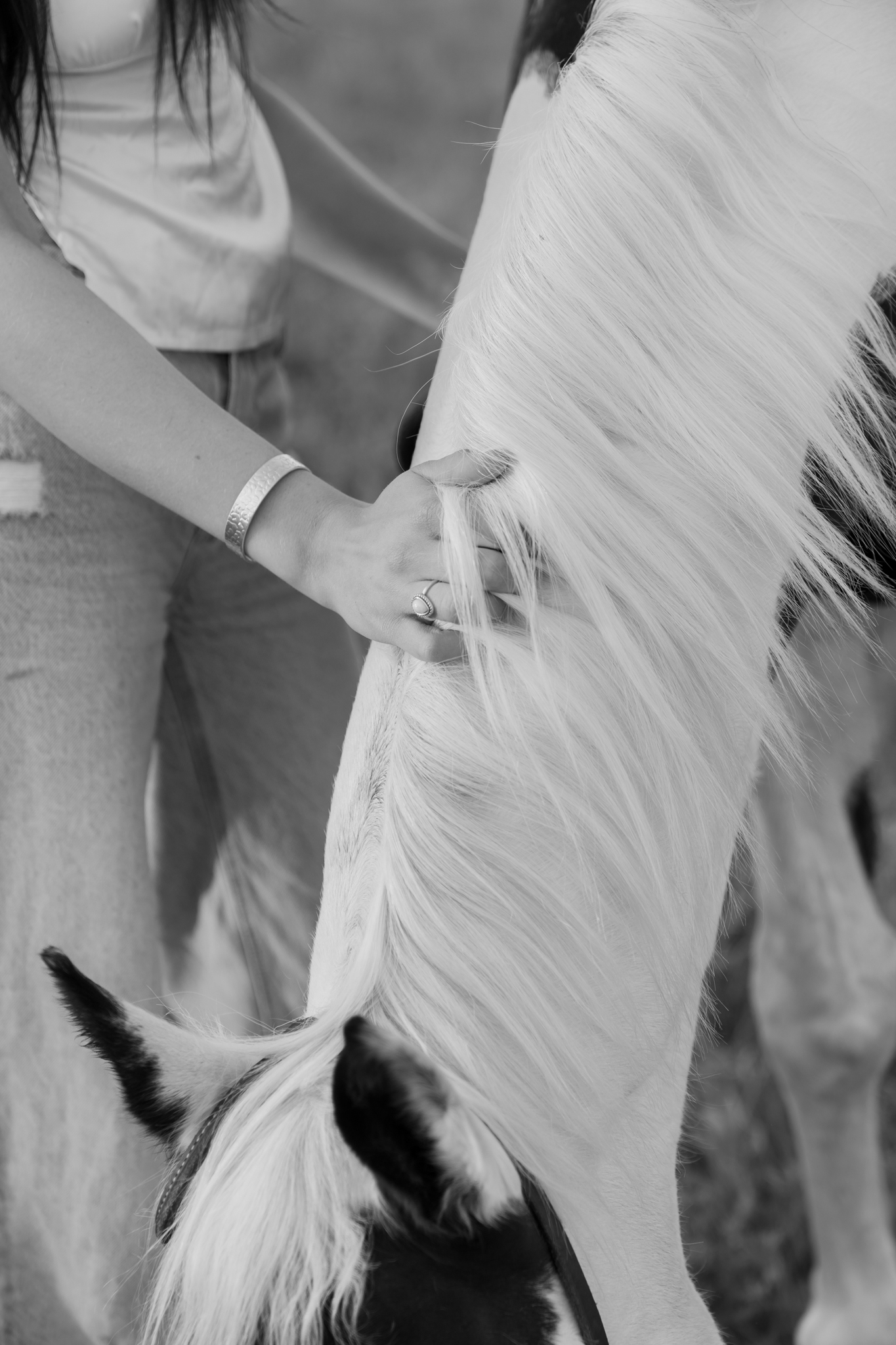Girls hand petting her horses mane in Wisconsin